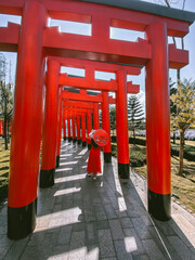 Hinoki land japan attraction in Chai Prakan District, Chiang Mai, Thailand