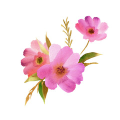 Fototapeta na wymiar Watercolor hand painted pink flowers
