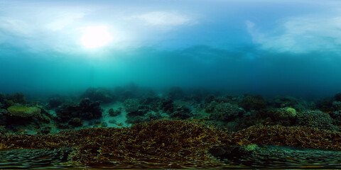 Fototapeta na wymiar Coral garden seascape and underwater world. Colorful tropical coral reefs. Life coral reef. Philippines. 360 panorama VR