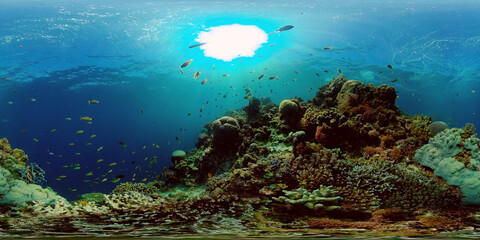 Fototapeta na wymiar Underwater scene coral reef. Hard and soft corals, underwater landscape. Travel vacation concept. Philippines. Virtual Reality 360.