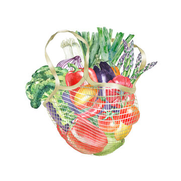 Watercolor bag with vegetable. Organic food in mesh. Hand drawn illustration of vegetable glocery. Culinary ingredient for packaging, logo, label, recipe design.