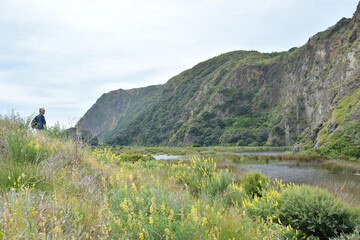Fototapeta na wymiar View of Cowan bay cliffs