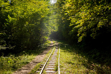 Abandoned railway in autumn mountain forest with foliar trees in Caucasus, Mezmay