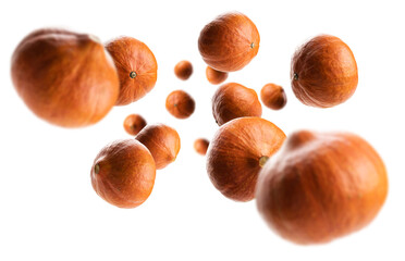 Ripe pumpkins levitate on a white background