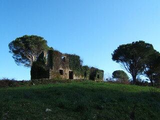 house, ruin, old house