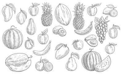 Sketch fruits isolated vector icons watermelon, pineapple, peach and mango with kiwi. Farm market, orchard or store garden and tropic exotic fruits banana, avocado, lemon with grapes and melon set