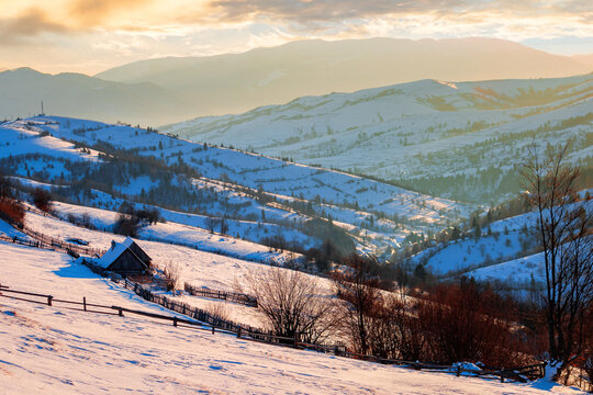 winter rural landscape at sunrise. trees and fields on snow covered hills. mountain ridge in the distance beneath a bright blue sky with clouds