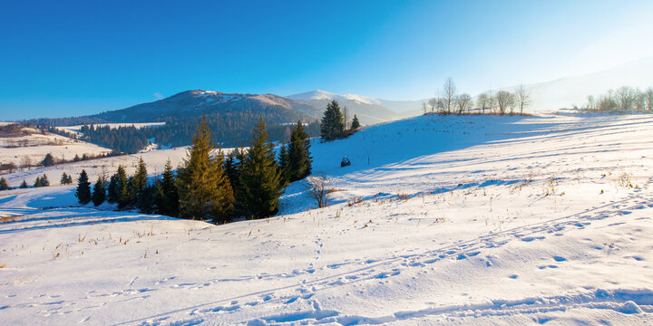 mountainous rural landscape in wintertime. wonderful frosty sunny day. trees on the snow covered hills.