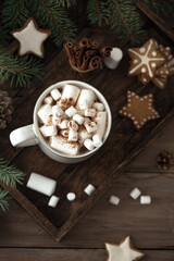 Fototapeta na wymiar Christmas concept with hot drink, marshmallow, gingerbread cookies