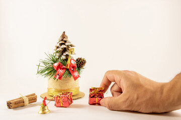 Hold in your hand a small gift next to the fir tree, with a fir tree cone