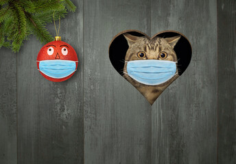 A cat in a protective mask looks through a heart shaped hole in the wooden holiday fence.
