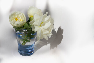 A small transparent blue glass of water on a white background on a Sunny day. Beautiful shadows and...