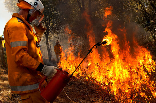 Fireman in protective clothing back burning forest floor