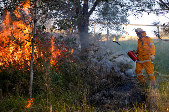 Fireman in protective clothing back burning forest floor