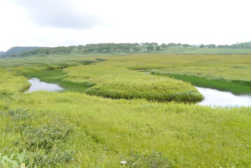 北海道、湿原、雨竜沼湿原、うりゅうぬましつげん、雨竜沼、池、木道、ペンケペタン川