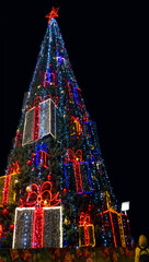 Fototapeta premium European City Christmas Tree at night