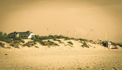 beach, hotel and sea gulls