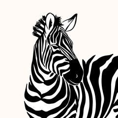 Graphical portrait of zebra isolated on white background, vector illustration for printing. Striped black and white.