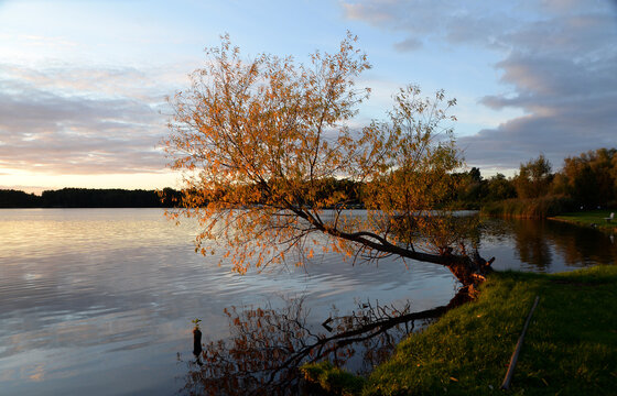 Schwielochsee Bilder Durchsuchen 186 Archivfotos, und