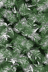 Naklejka na ściany i meble Palm leaf texture design seamless pattern