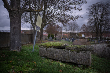 Römische Sarkophage vom Greifenberg in Sulzheim