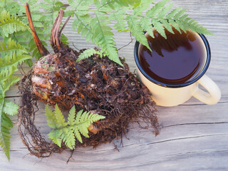 Fern leaves and root, drink herbal tea in a mug and on a wooden background, top view. Natural...