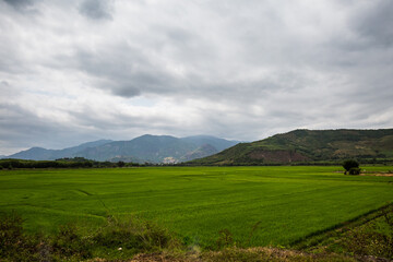 Fototapeta premium Vietnamese mountains close to Dalat