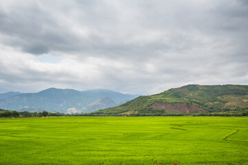 Vietnamese mountains close to Dalat