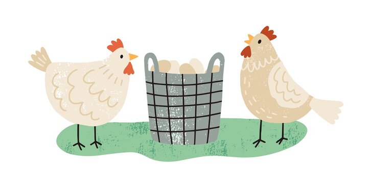 Two hens near wicker basket full of organic eggs. Pair of farm free range chickens. Domestic poultry. Local eco friendly food. Hand drawn flat textured vector illustration isolated on white background