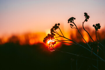 sunset in the mountains