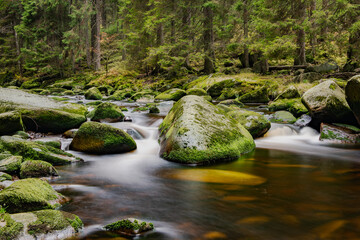 Obraz premium Beautiful landscape of the Czech Republic area of the Sumava National Park.