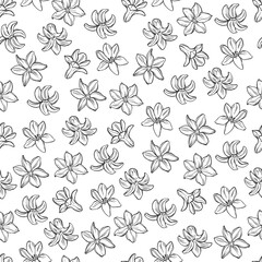 Seamless vector pattern with flowers on white. Floral abstract background. Perfect for design templates, wallpaper, wrapping, fabric and textile. Black and white. Outline.