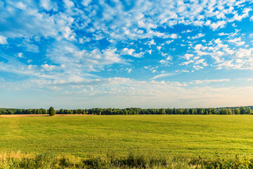 Field, forest, arable land in the evening at sunset of a Sunny day in early autumn. Moscow Region, Russia