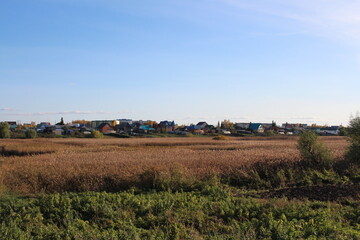 meadow with grass near houses in the village in autumn rural landscape in nature