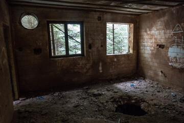 Fototapeta na wymiar ruin of an abandoned house in the wood
