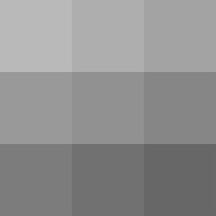 Gray color palette vector illustration