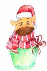 watercolor illustration of a new year's bull in a Santa Claus hat and a striped red scarf sitting in a gift box with a bow isolated on a white background