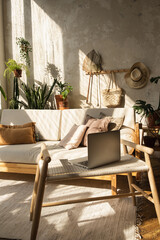Boho style modern home interior design. Laptop, sofa, pillows, home plants, carpet and decorations against concrete wall. Bohemian sitting room with warm sun light shadows on the wall.