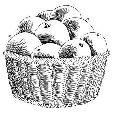 Apple basket graphic black white isolated sketch illustration vector
