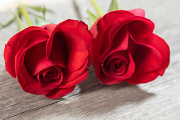 Hearts of red roses