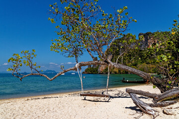 Wooden swing hang under tree at the beach