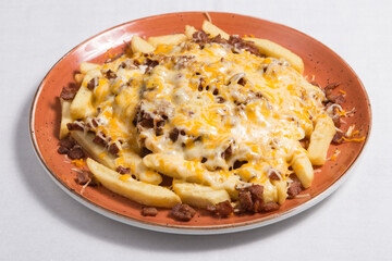 Bacon and cheese fries.