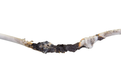 Burnt cable closeup view