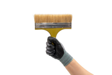 Hand of a gloved man holding a paintbrush. Isolated white background.