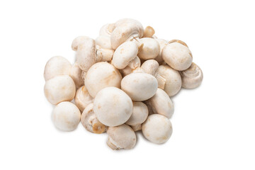 Champignon mushroom isolated on white background.