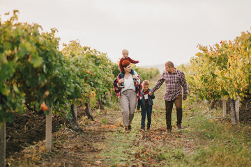 Happy family taking a walk in vineyard at sunset.