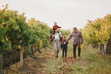Poster Happy family taking a walk in vineyard at sunset. © polinaloves