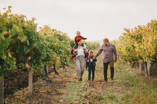 Happy family taking a walk in vineyard at sunset.
