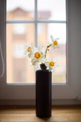 Vase with flowers Narcissus