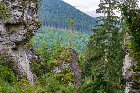 Rocks that surround the bears' cave, Fairies Garden, Borsec, Romania
